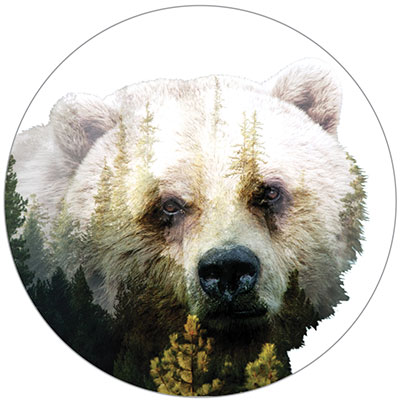 Bear Conservation Circle