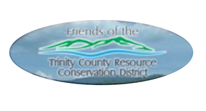 Friends_of_Trinity_300x162