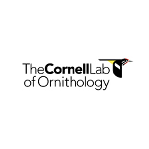 Grant logos _0073_Cornell