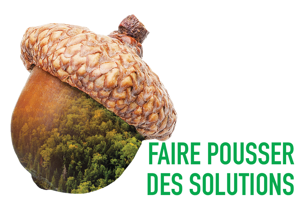 GrowingSolutions_FR