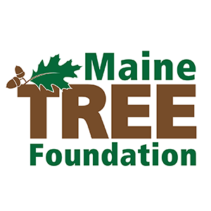 MTreeFound_logo_300x300