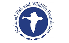 NFWF_logojpg