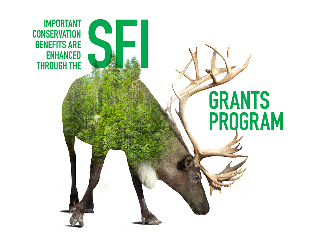 SFI_Cons_Grants