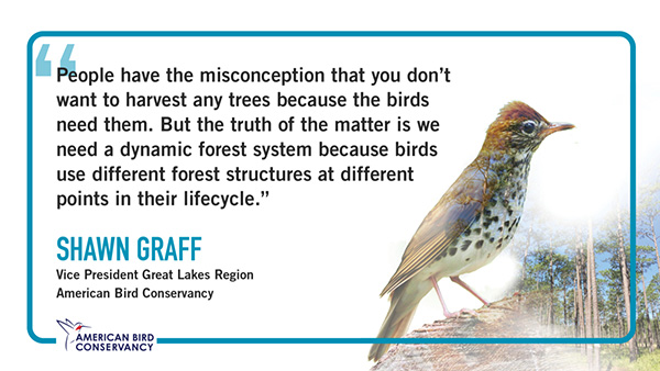 Shawn_Graff_Blog_Twitter-1200×675 Shawn Graff pull quote