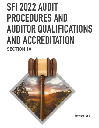 Audit Procedures and Auditor Qualifications and Accreditation